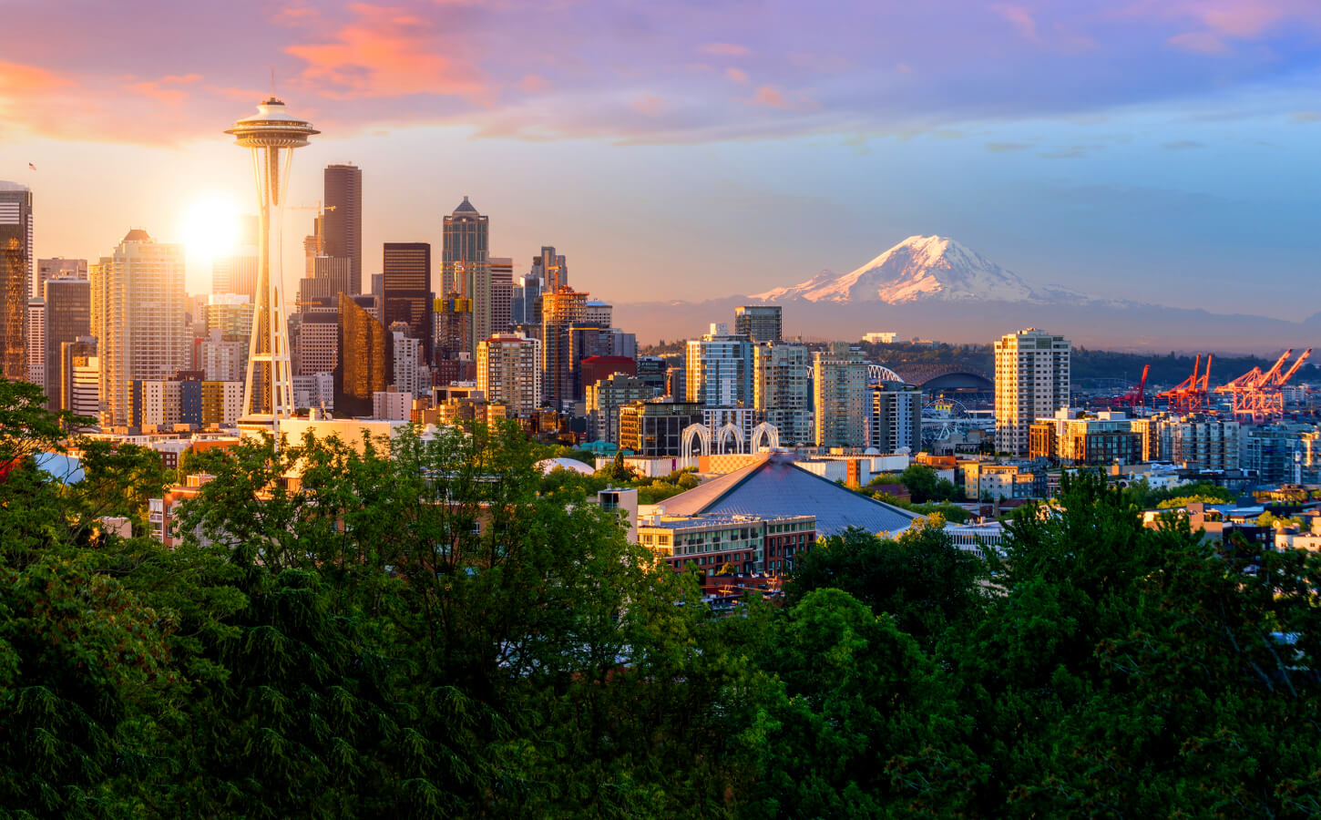 Facial Plastic Surgery Bellevue